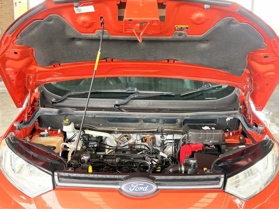 2017 Ford EcoSport II 2