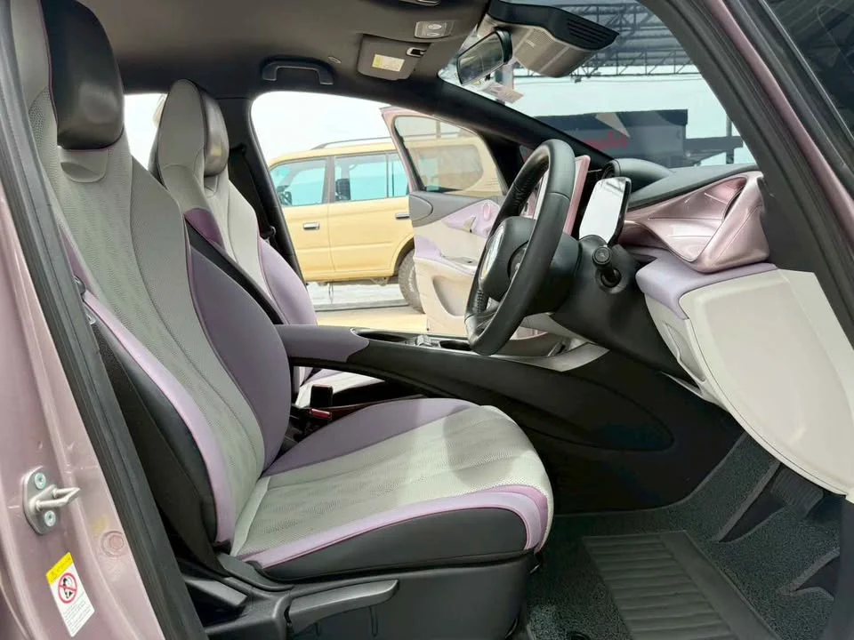 2024 BYD Dolphin 2