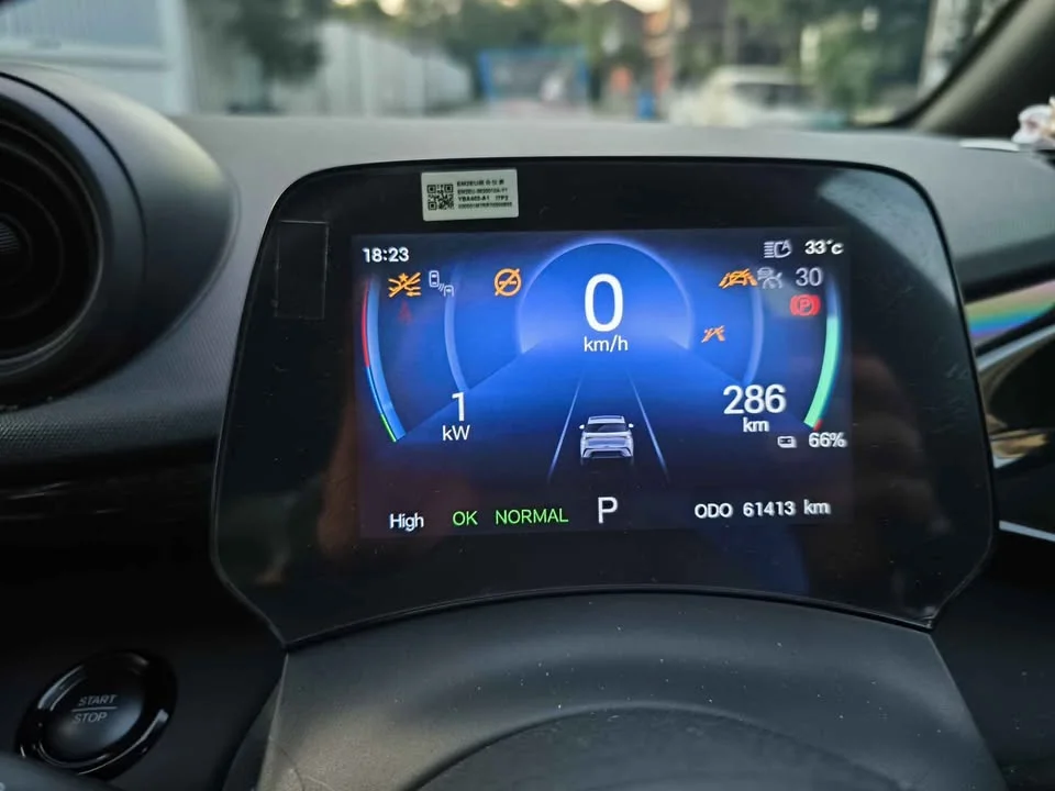 2024 BYD Dolphin 2