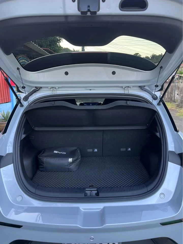 2025 BYD Dolphin 2