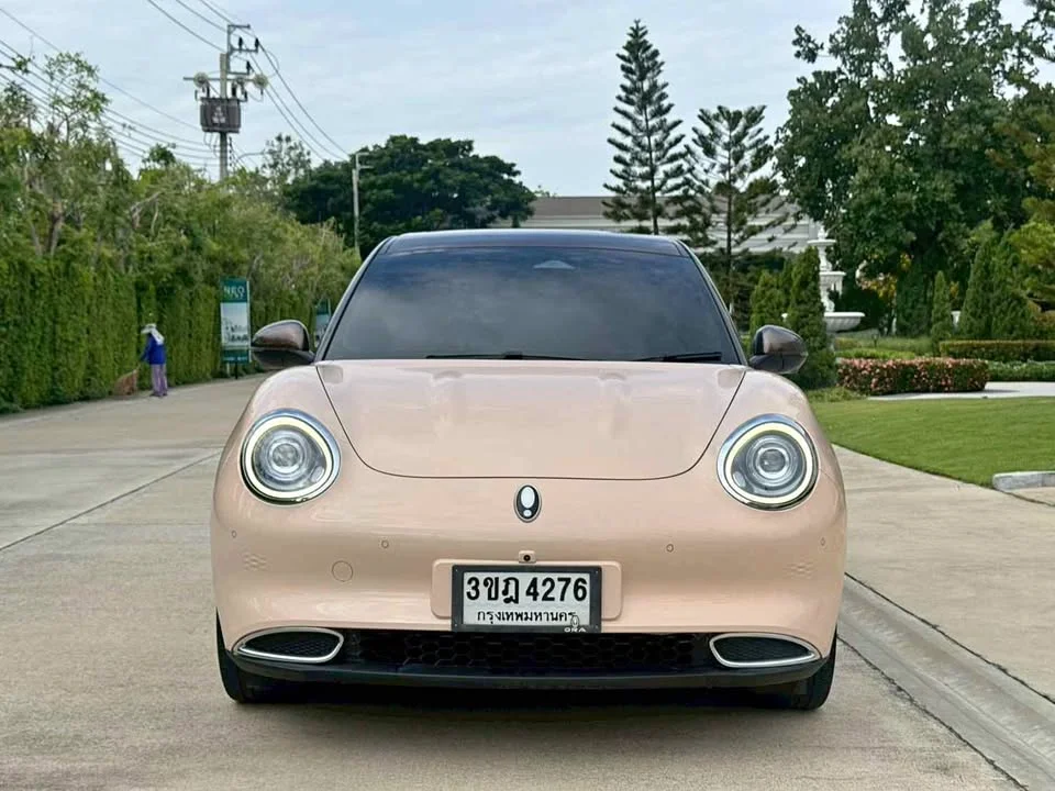 2022 GWM Ora Good Cat 2