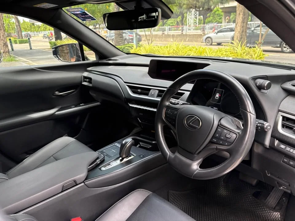 2022 Lexus UX ZA10 2