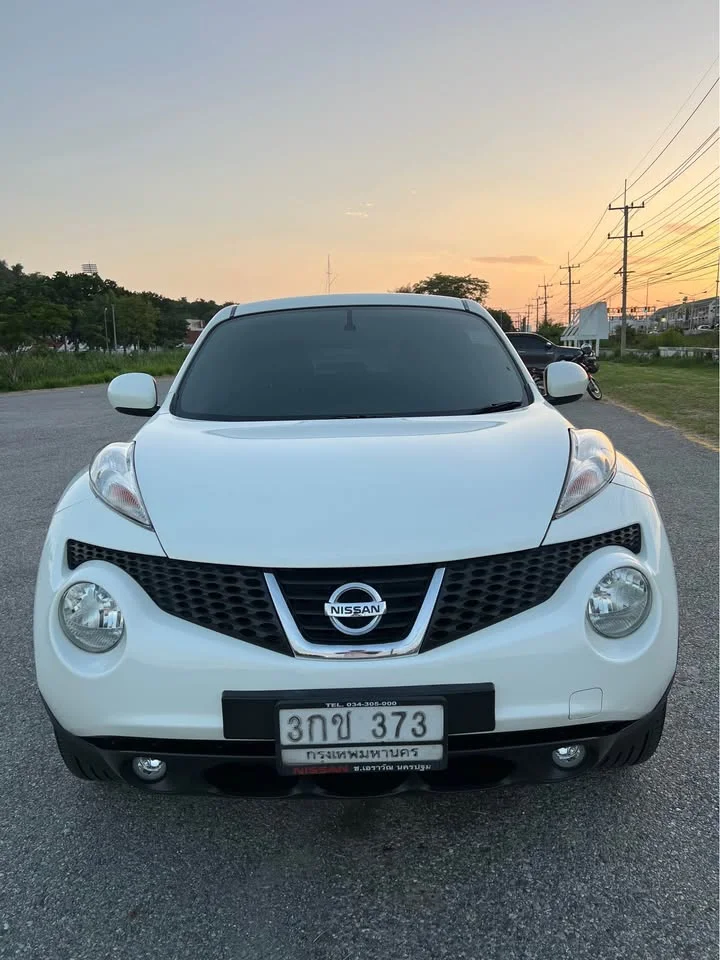 2014 Nissan Juke I (F15) 3