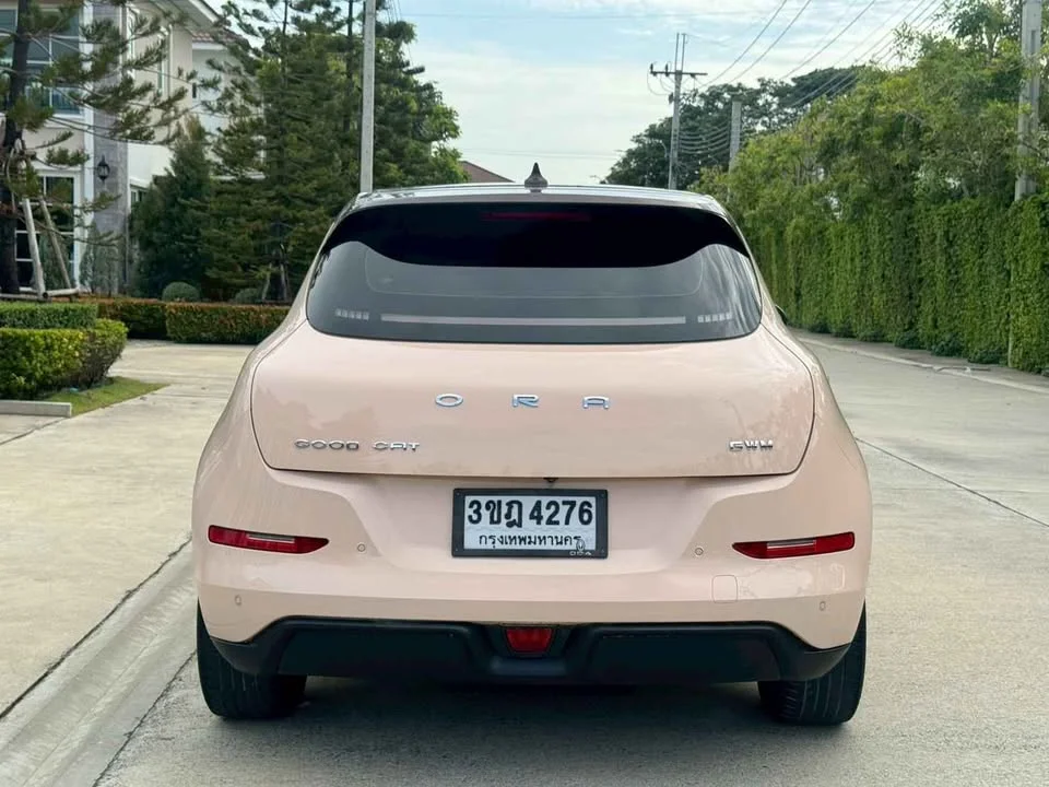 2022 GWM Ora Good Cat 2