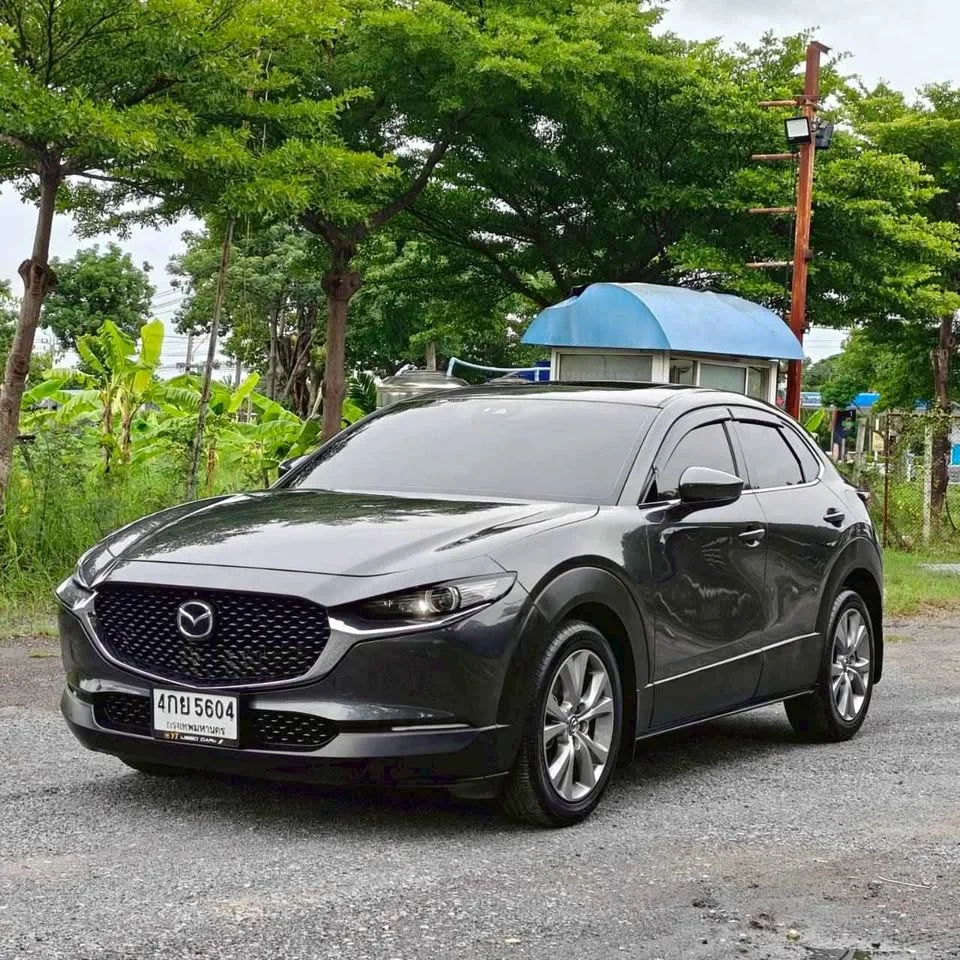 2021 Mazda CX-30 I 3