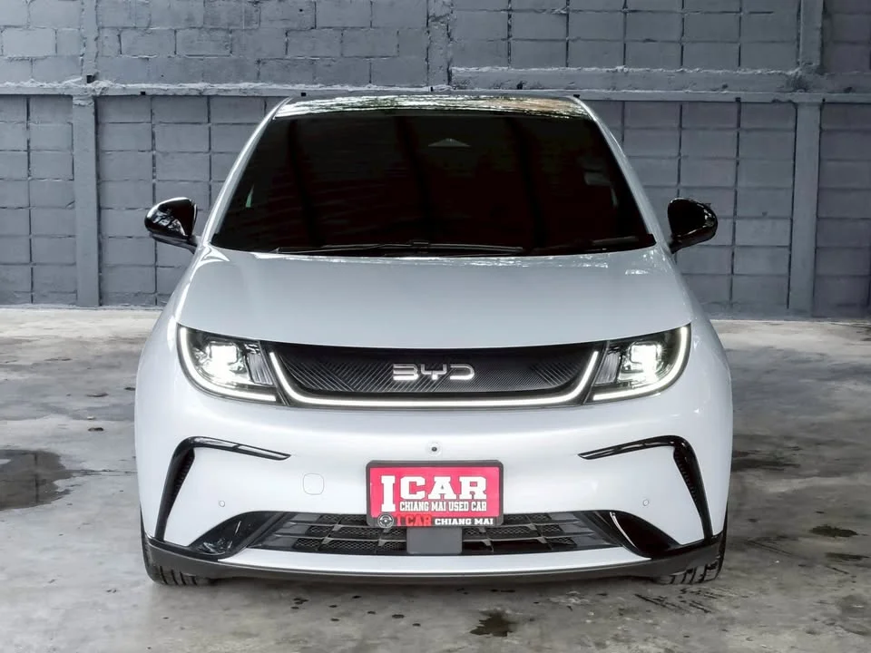 2025 BYD Dolphin 2