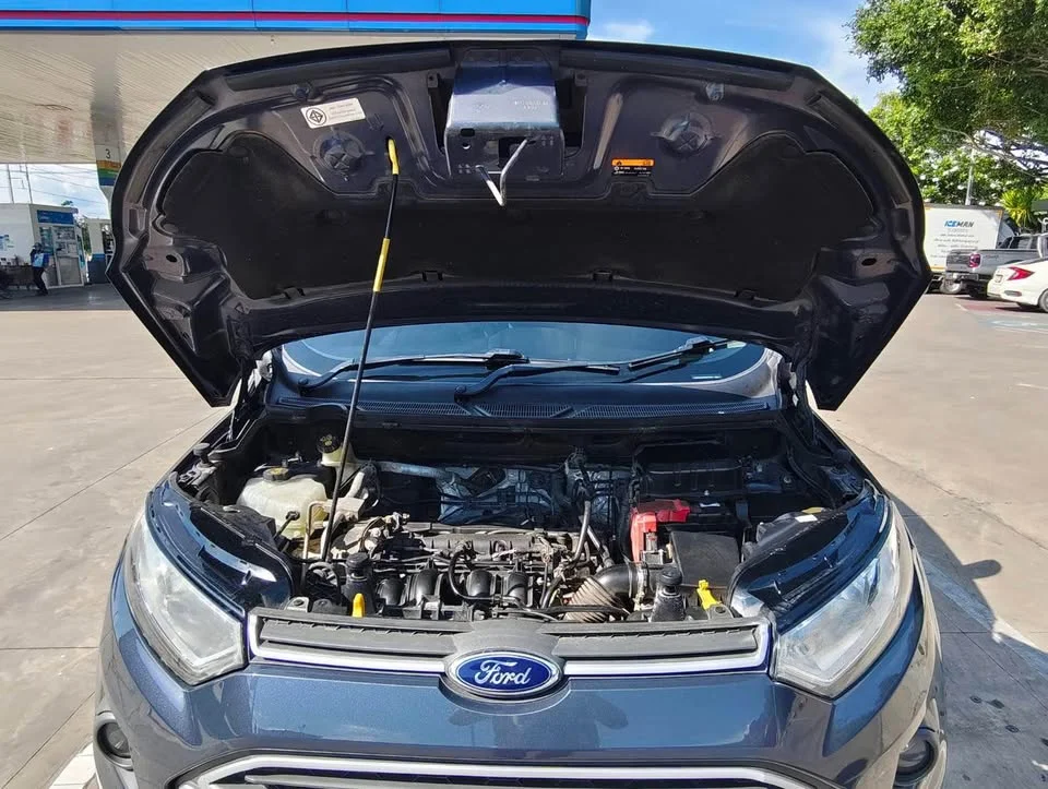2014 Ford EcoSport II 2