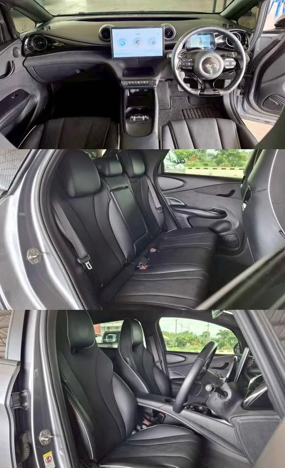 2025 BYD Dolphin 2