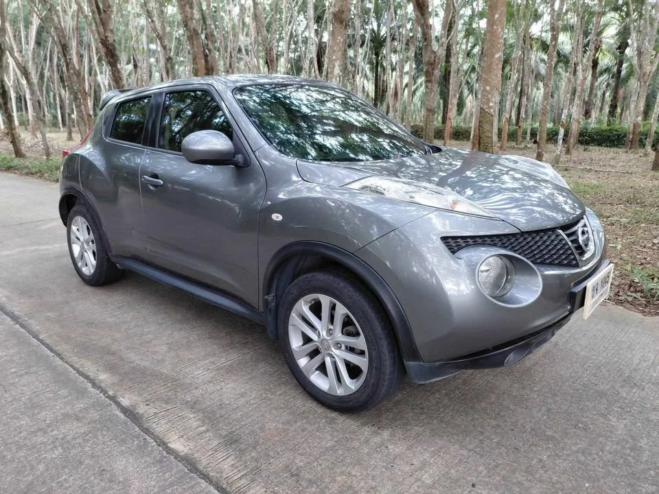 2015 Nissan Juke I (F15) 3
