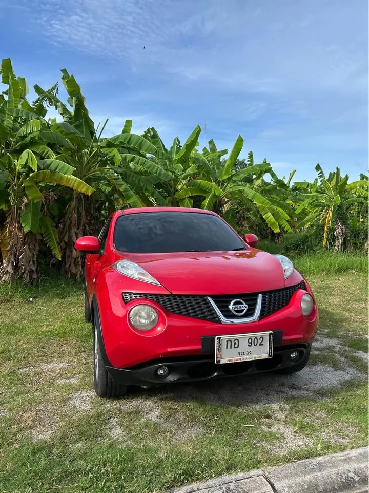 2014 Nissan Juke I (F15) 3
