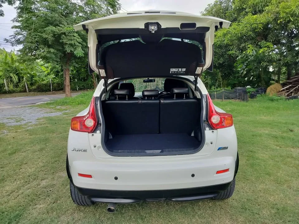 2015 Nissan Juke I (F15) 2