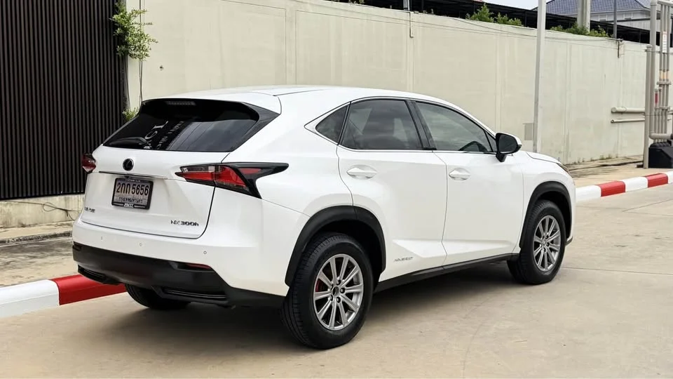 2018 Lexus NX I 3