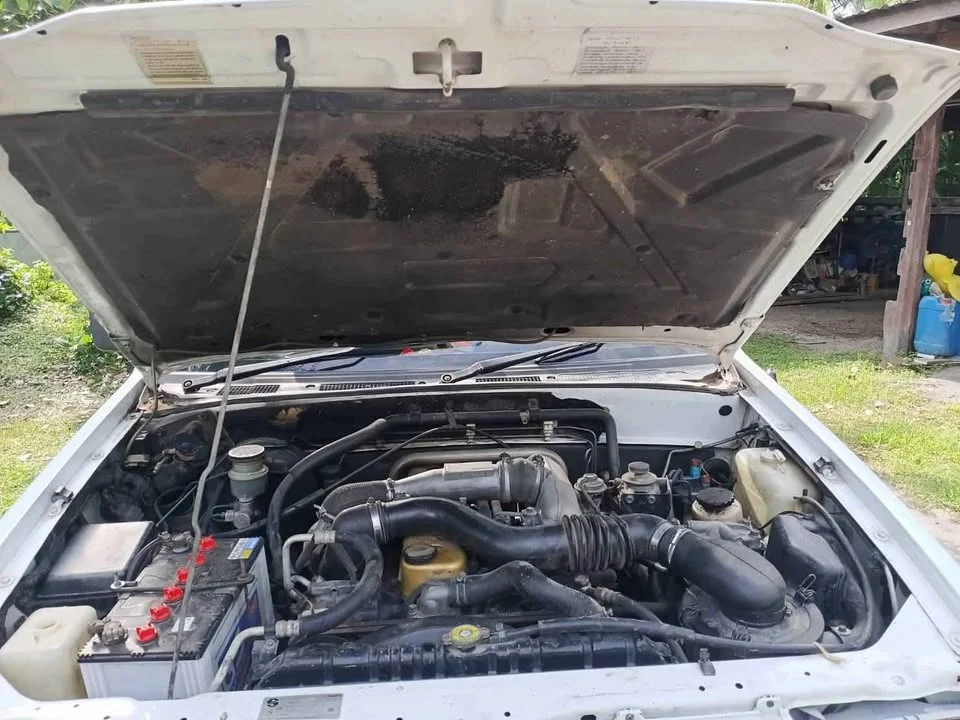 2000 Isuzu Faster Dragon Eyes III 2