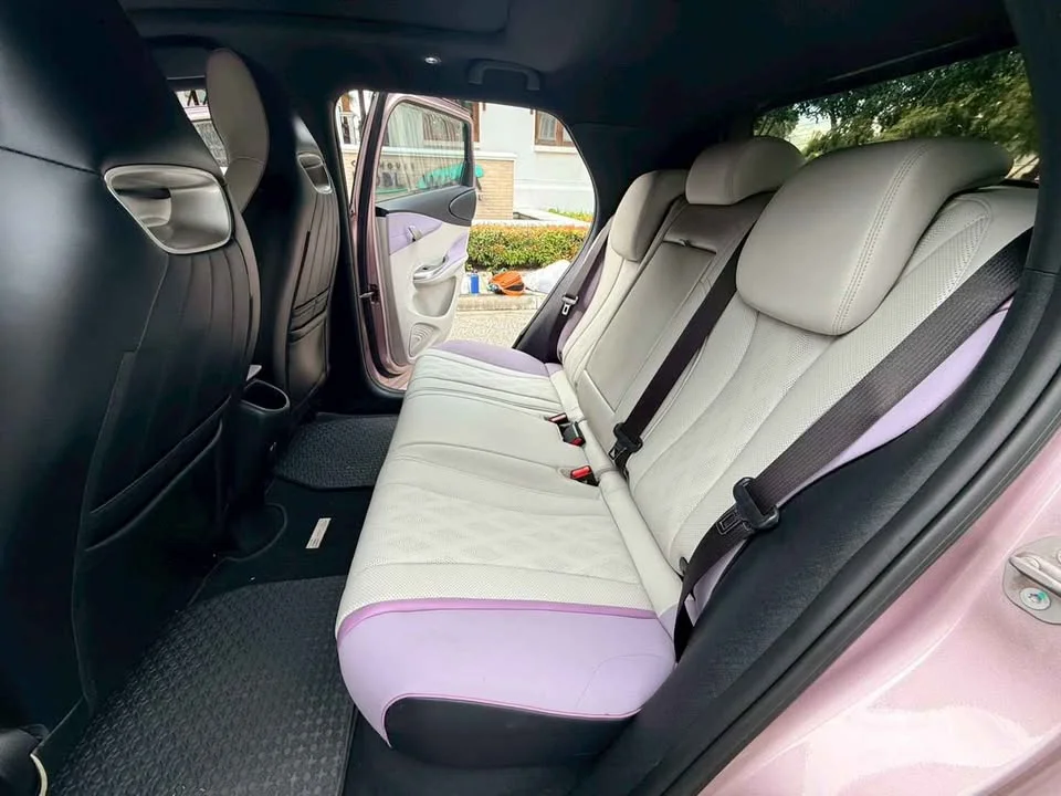 2023 BYD Dolphin 3