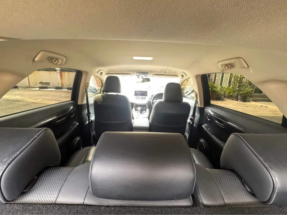 2019 Lexus NX I 2