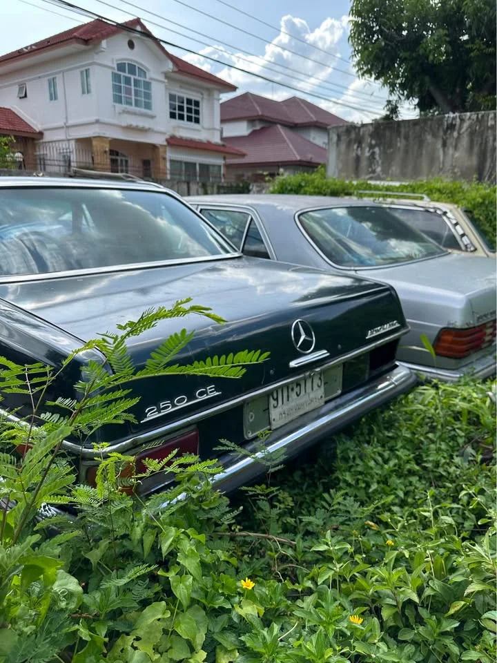 1980 Benz W114, W115 2