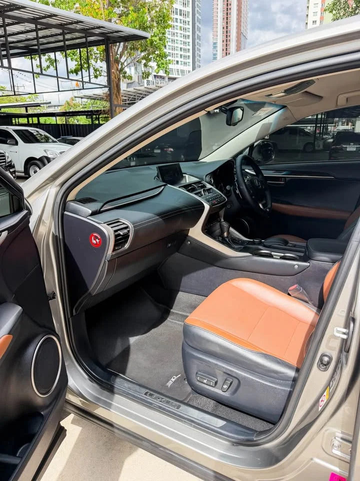 2016 Lexus NX I 2