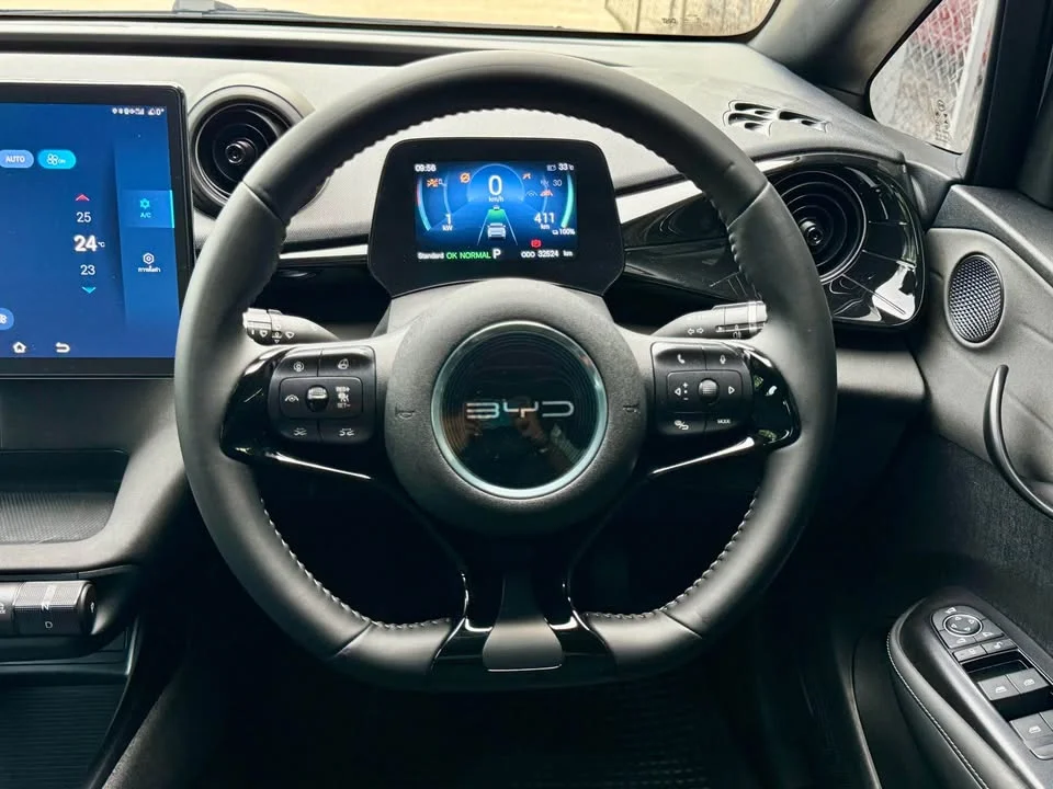 2024 BYD Dolphin 3