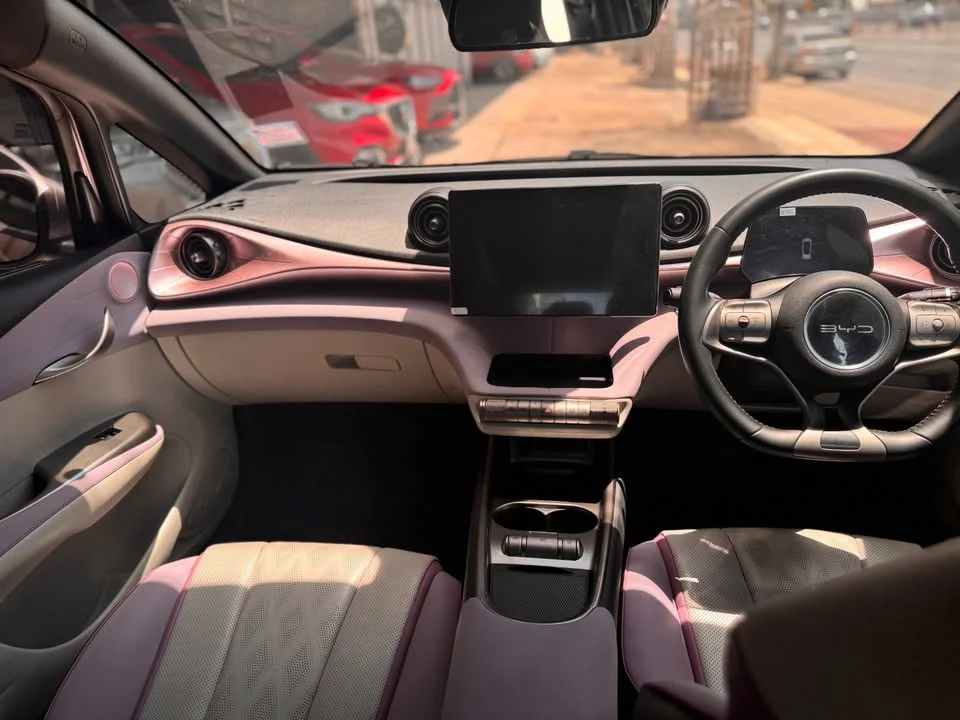 2023 BYD Dolphin 2