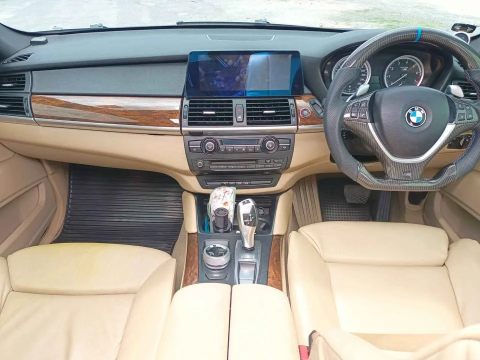 2010 BMW X6 E71, E72 2