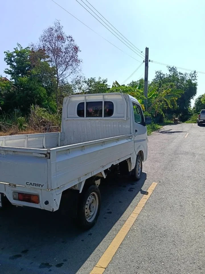 2020 Suzuki Carry II 2