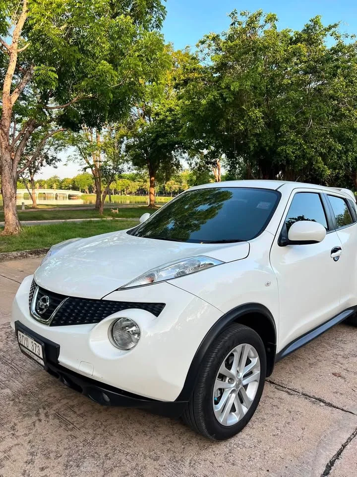 2014 Nissan Juke I (F15) 2
