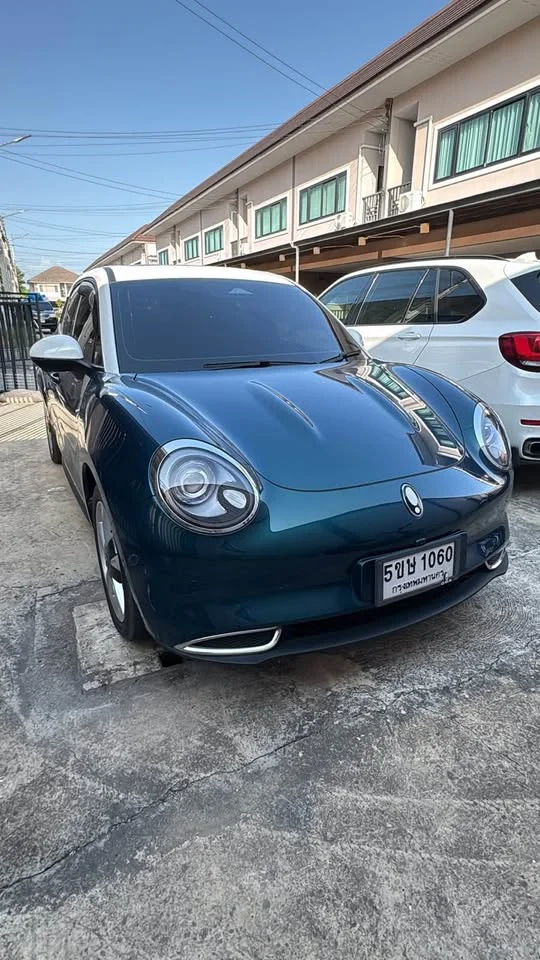 2024 GWM Ora Good Cat 2