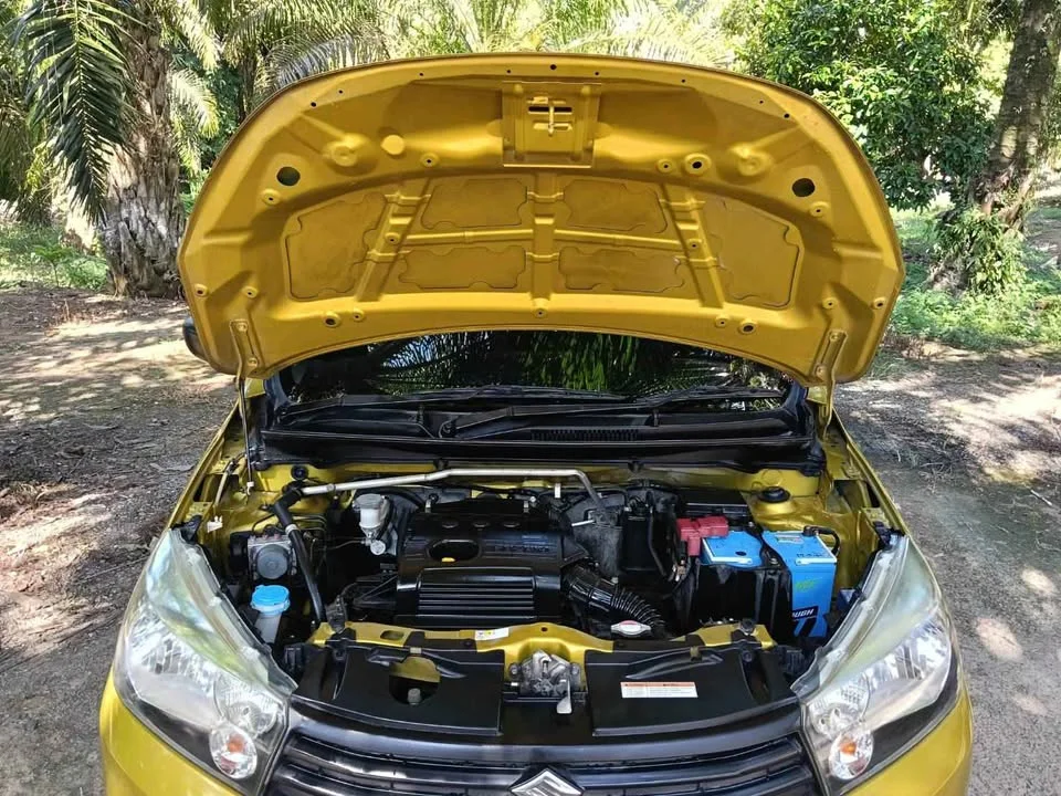 2015 Suzuki Celerio II 2