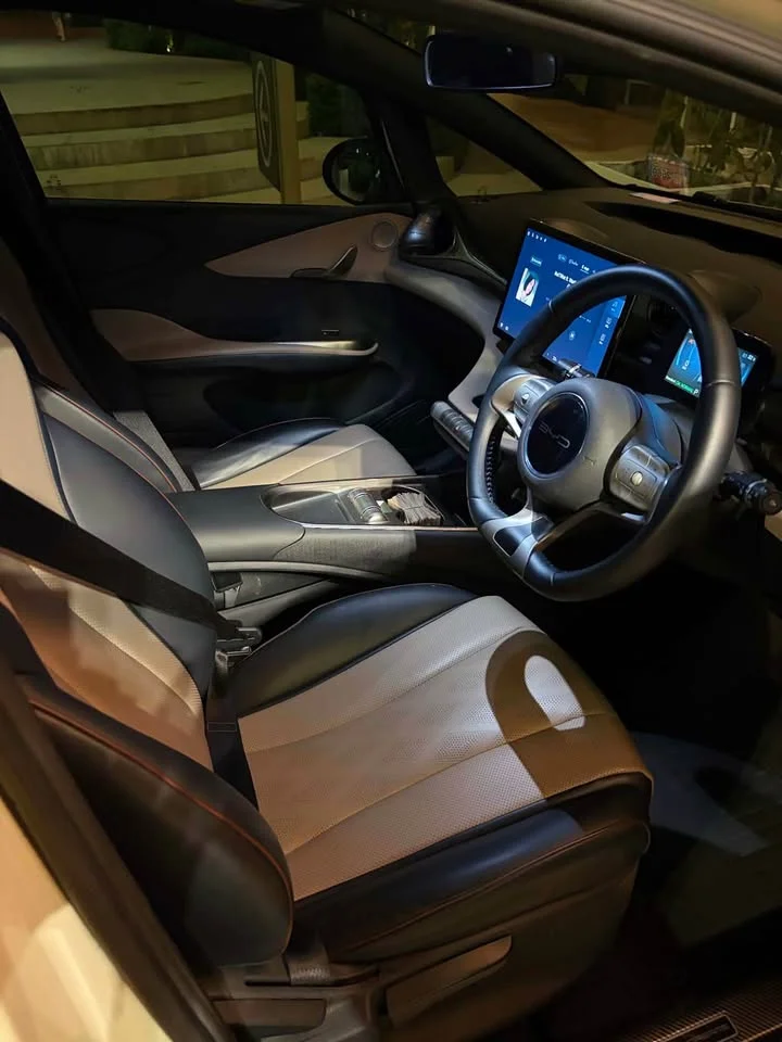 2023 BYD Dolphin 3