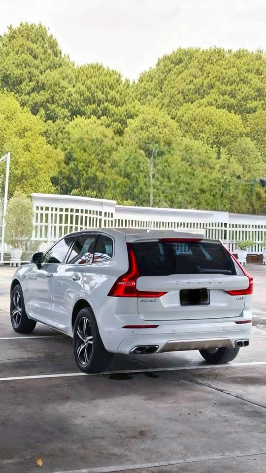 2019 Volvo XC60 II 3