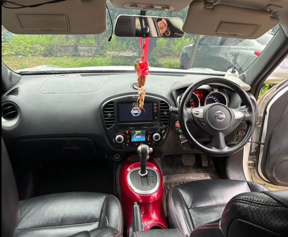 2013 Nissan Juke I (F15) 2