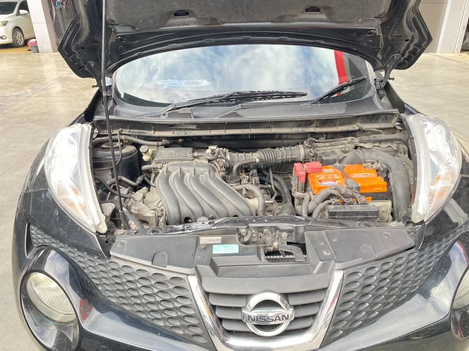 2014 Nissan Juke I (F15) 3