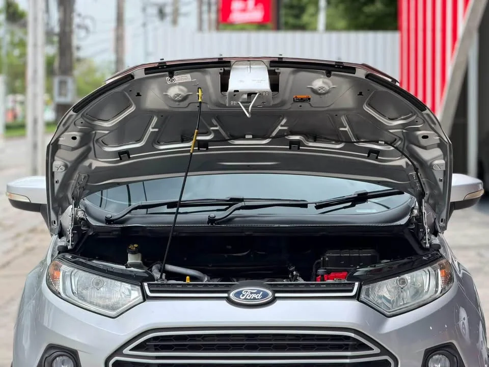 2014 Ford EcoSport II 3