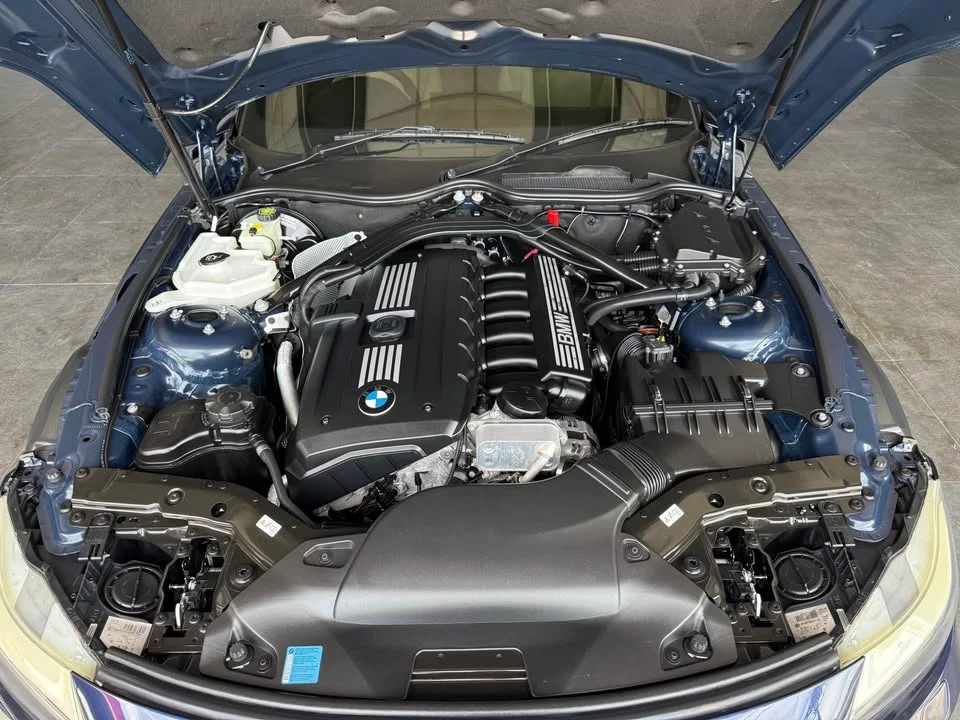 2009 BMW Z4 E89 3