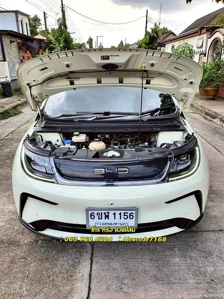 2024 BYD Dolphin 2