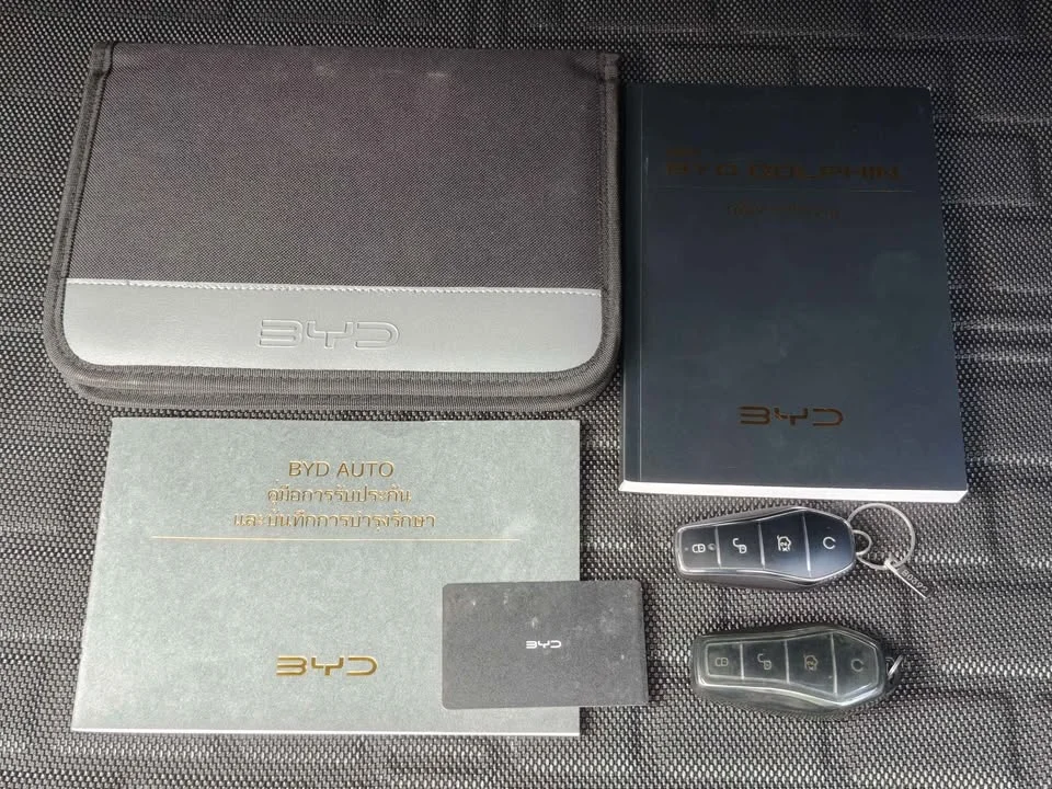 2024 BYD Dolphin 3