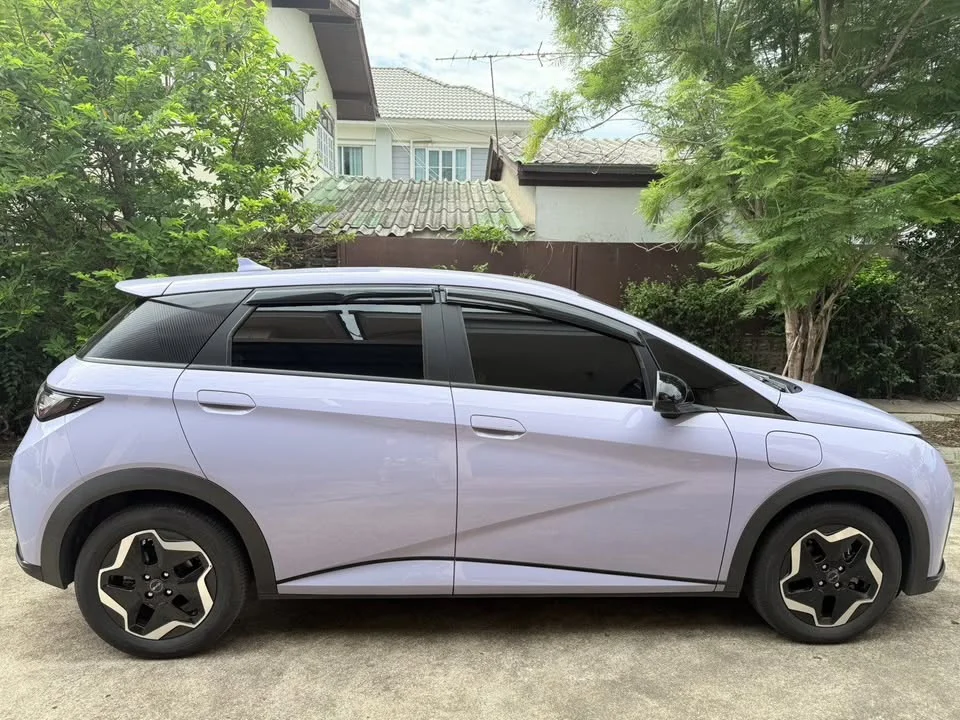 2024 BYD Dolphin 2