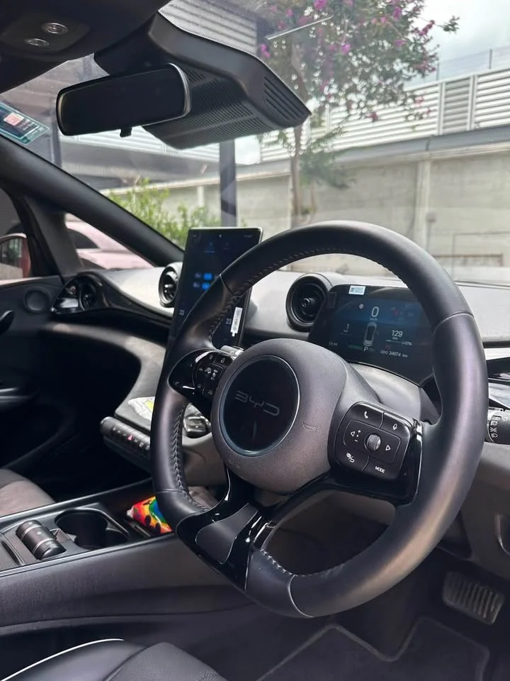 2023 BYD Dolphin 3