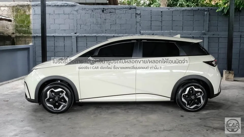 2024 BYD Dolphin 3