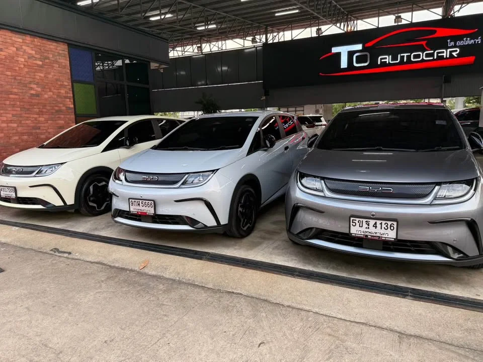 2024 BYD Dolphin 3