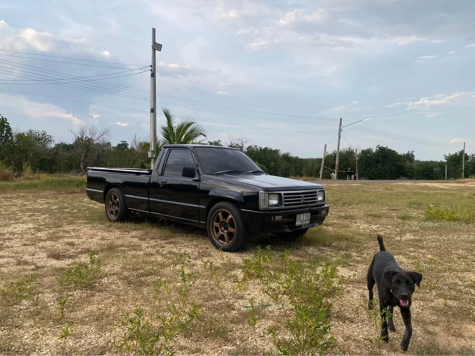 1991 Mitsubishi Triton II 2