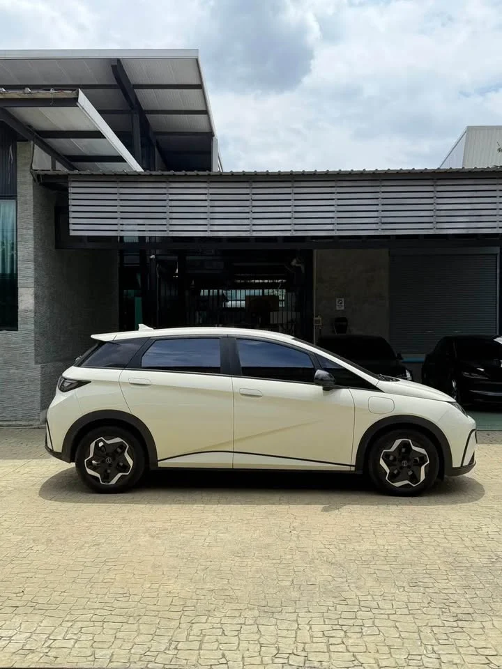 2023 BYD Dolphin 3