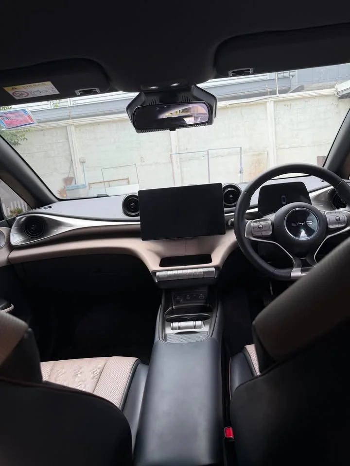 2023 BYD Dolphin 3