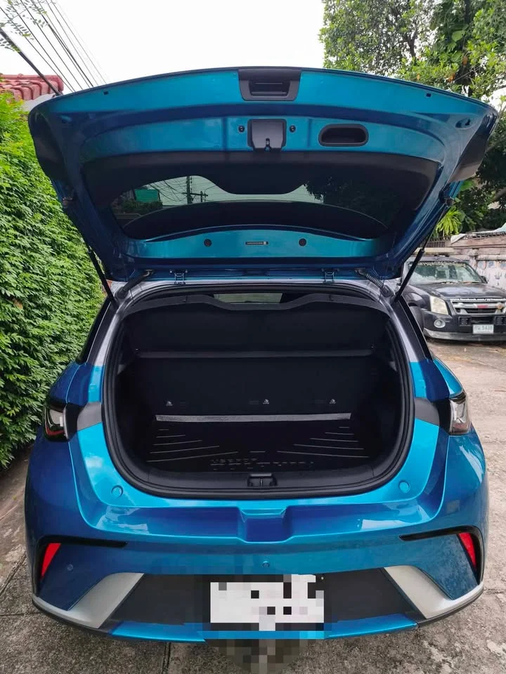 2024 BYD Dolphin 2