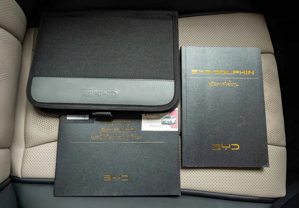 2024 BYD Dolphin 3