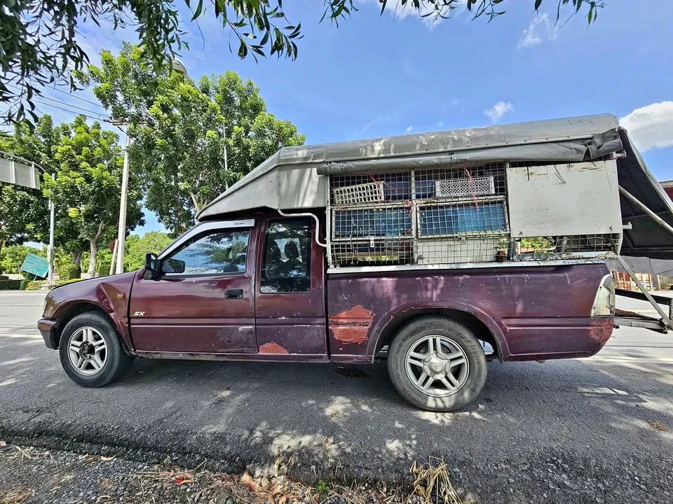 1998 Isuzu Faster Dragon Eyes III 2