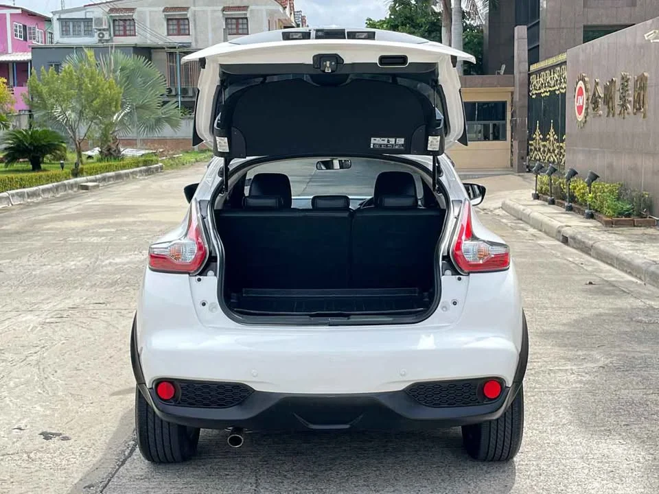 2017 Nissan Juke I (F15) 2