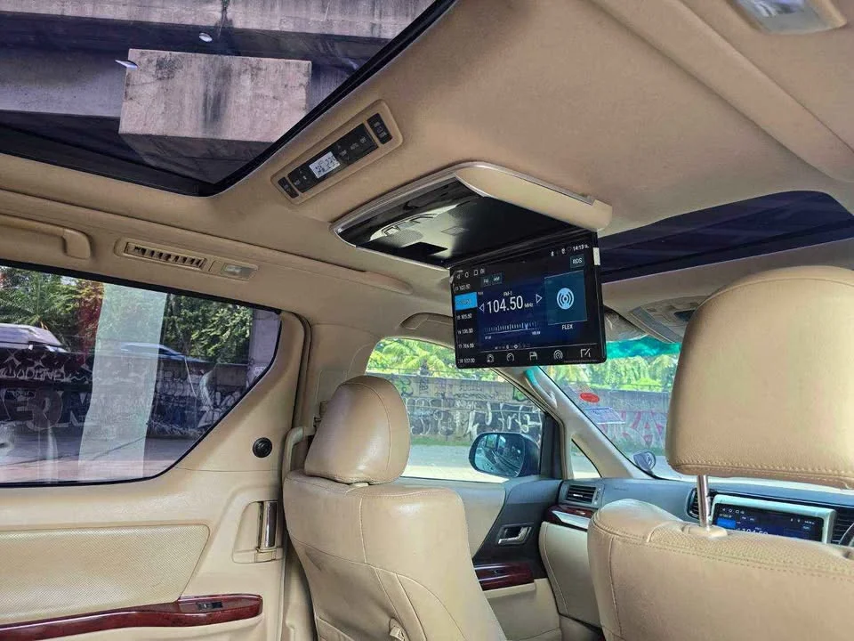 2009 Toyota Alphard, Vellfire II (AH20) 3