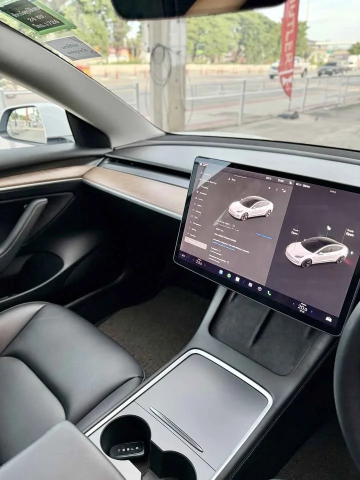 2021 Tesla Model 3 3