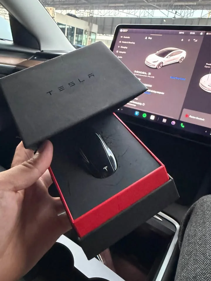 2021 Tesla Model 3 3